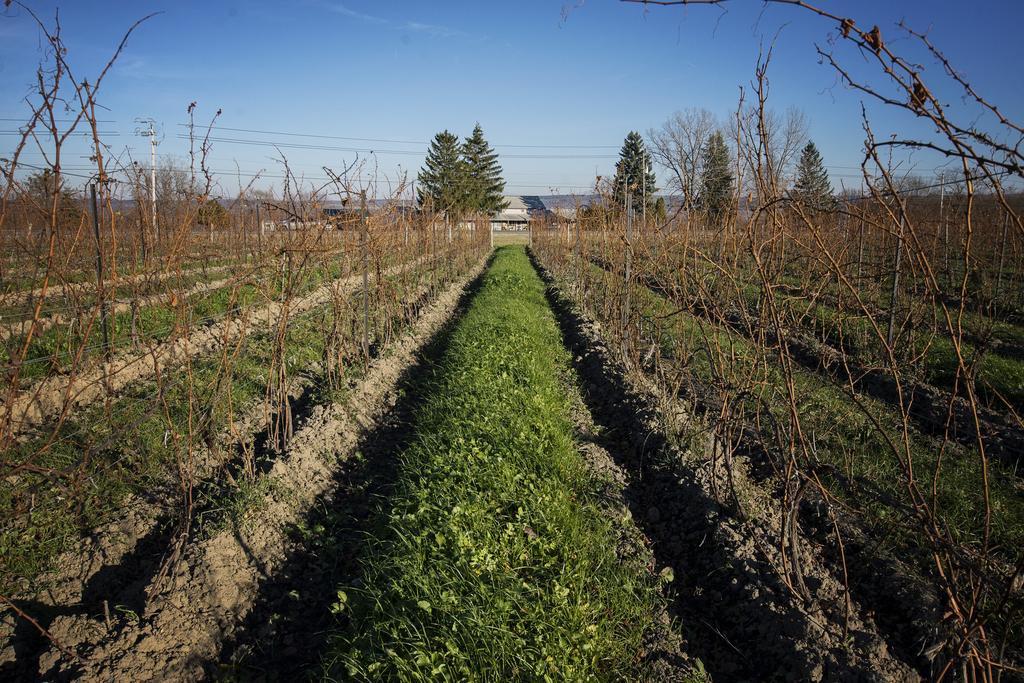 Savannah House Wine Country &